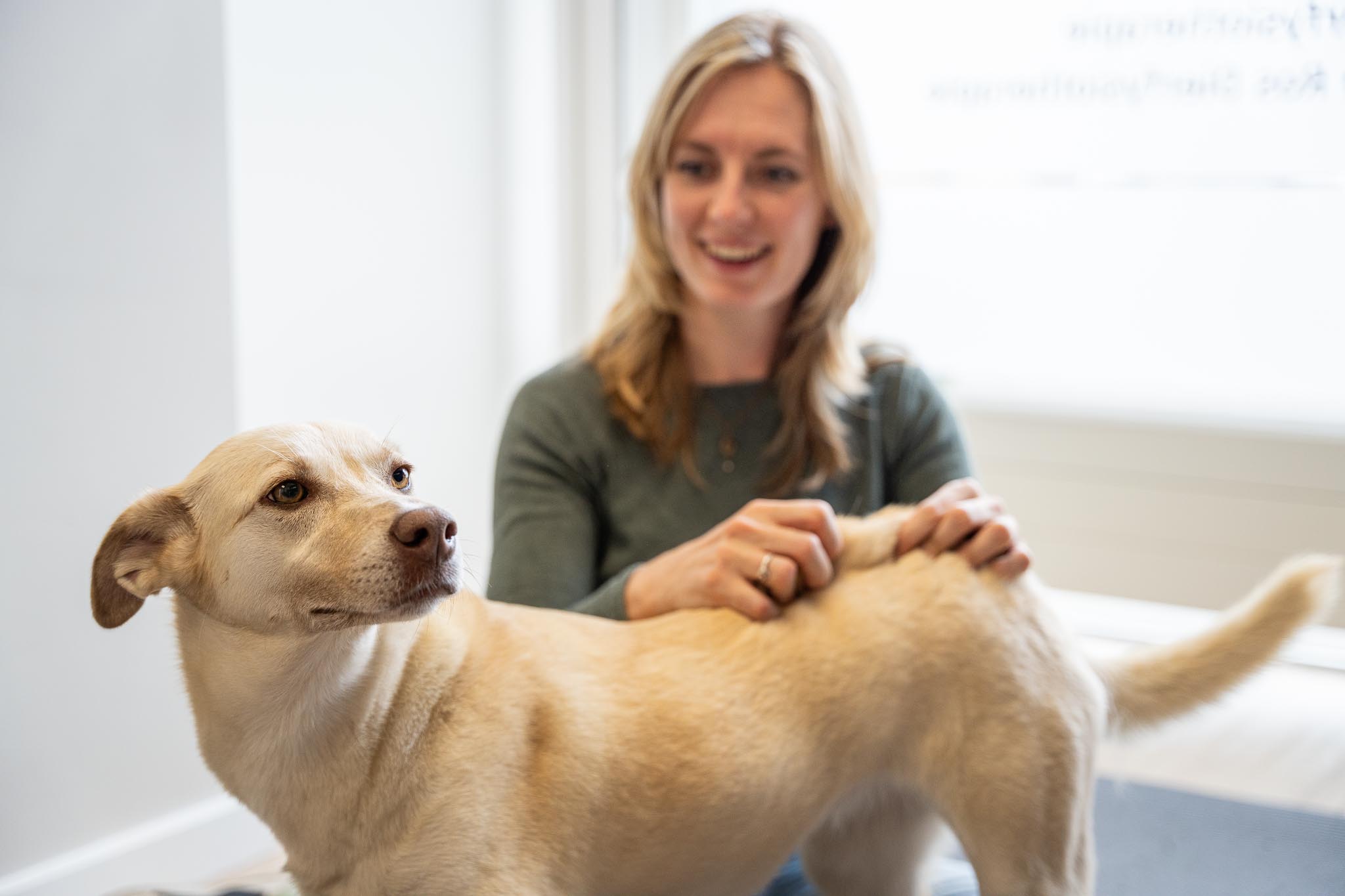E.A. Dierfysiotherapie – DaKo Fotografie (Web) – 07 E.A. Dierfysiotherapie Dierfysiotherapie Utrecht IJsselstein Nieuwegein Hilversum Paarden Honden Dry Needling Hydrotherapie Lasertherapie Taping Dierenfysiotherapeut