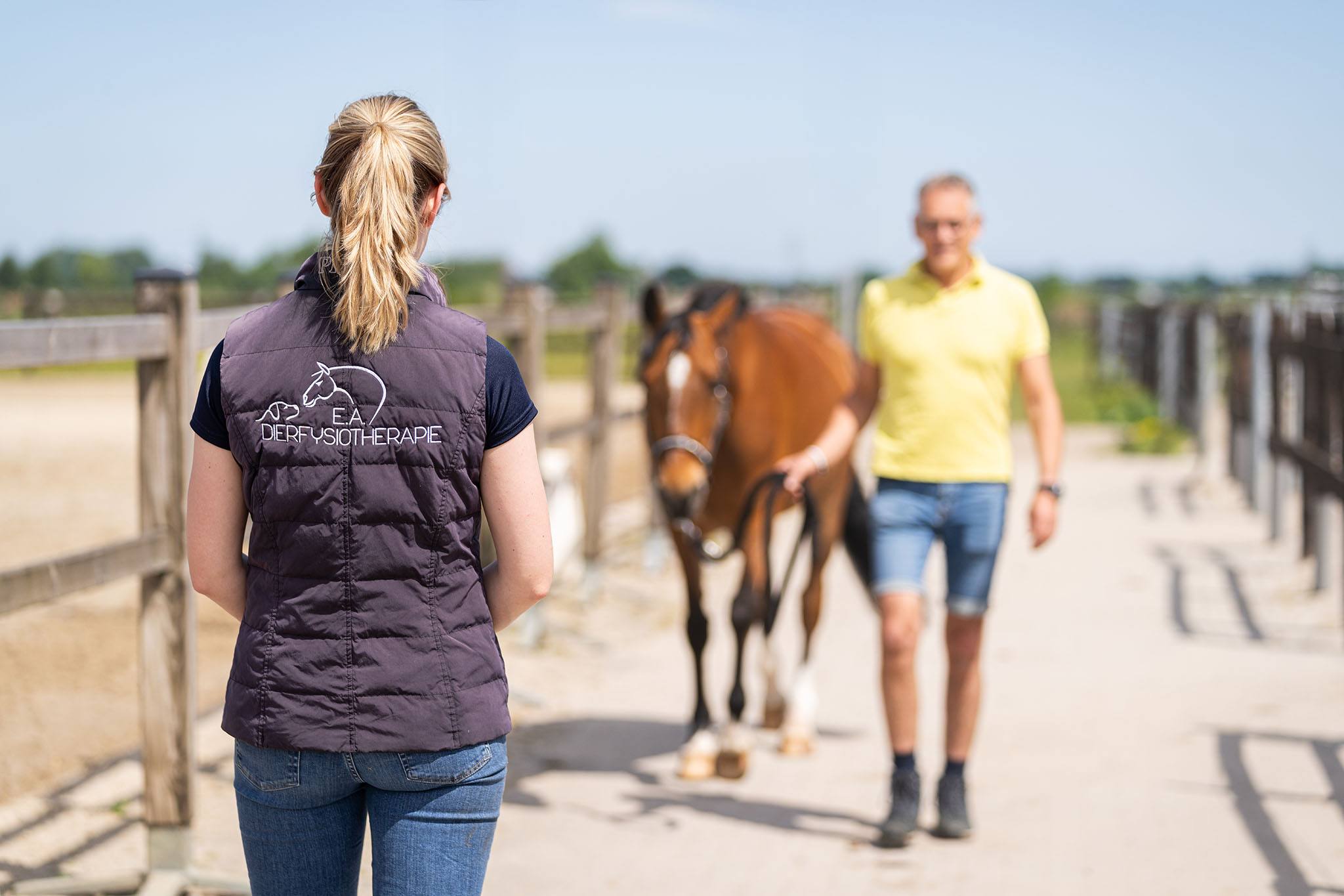 E.A. Dierfysiotherapie – DaKo Fotografie (Web) – 29 E.A. Dierfysiotherapie Dierfysiotherapie Utrecht IJsselstein Nieuwegein Hilversum Paarden Honden Dry Needling Hydrotherapie Lasertherapie Taping Dierenfysiotherapeut