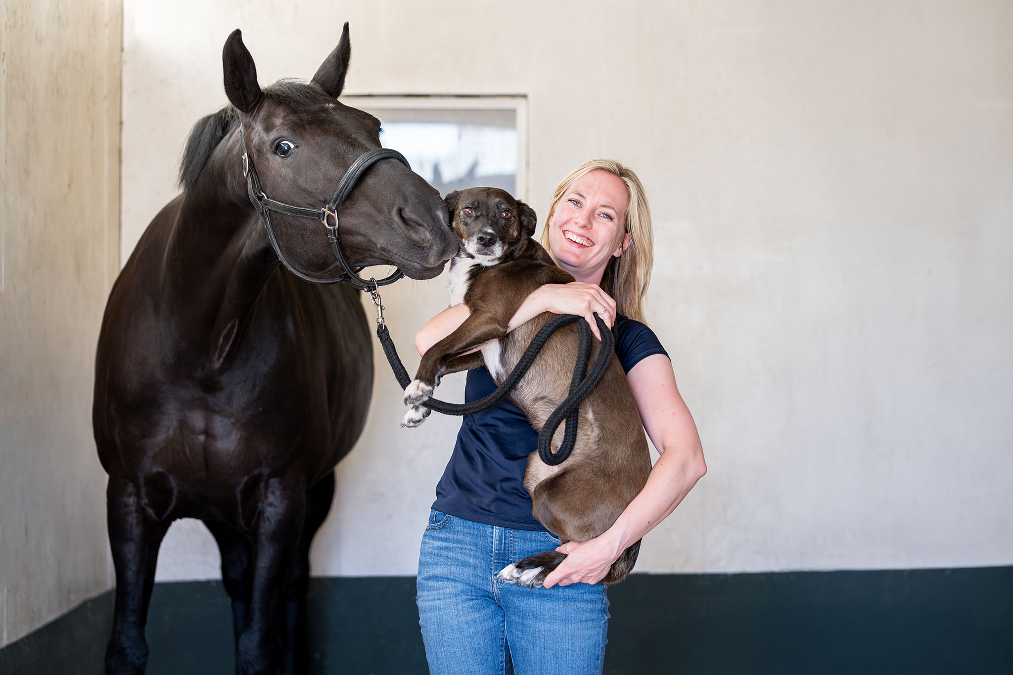 E.A. Dierfysiotherapie – DaKo Fotografie (Web) – 39 E.A. Dierfysiotherapie Dierfysiotherapie Utrecht IJsselstein Nieuwegein Hilversum Paarden Honden Dry Needling Hydrotherapie Lasertherapie Taping Dierenfysiotherapeut